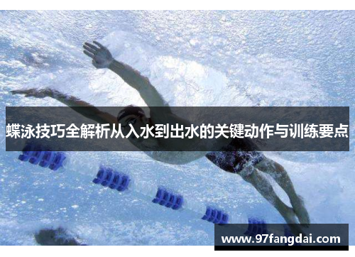 蝶泳技巧全解析从入水到出水的关键动作与训练要点
